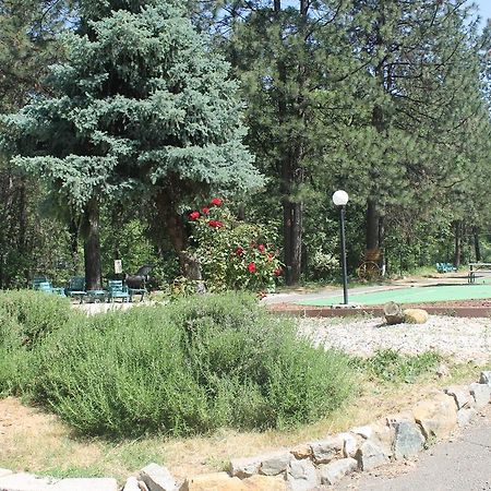 Golden Chain Motel Grass Valley Bagian luar foto