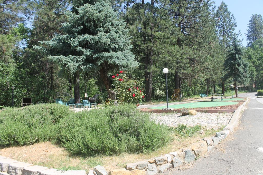 Golden Chain Motel Grass Valley Bagian luar foto