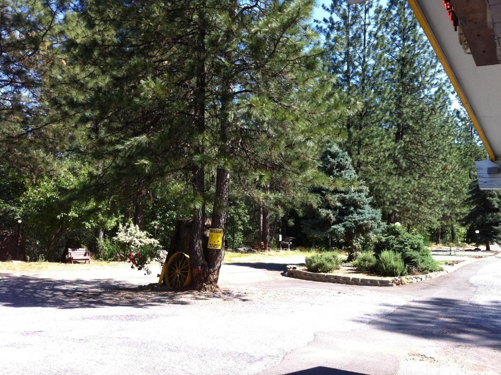 Golden Chain Motel Grass Valley Bagian luar foto
